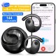 GreatWall AI Real-Time Translation Wireless Bluetooth Earphones Supporting Over 100 Voice Languages Translation Headphones Black