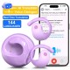 GreatWall AI Real-Time Translation Wireless Bluetooth Earphones Supporting Over Voice Languages Translation Headphones Purple
